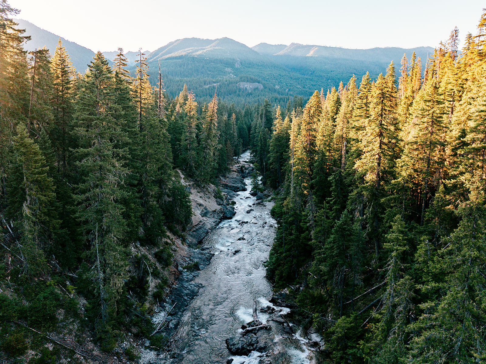 Lush forest with a river flowing through mountainous landscape.