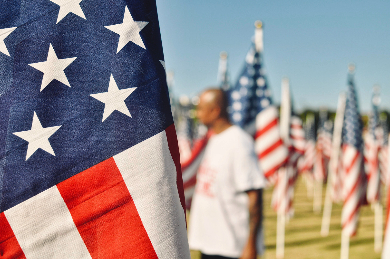 American flags in a field with a blurred figure.